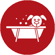 Mobile Pet Grooming